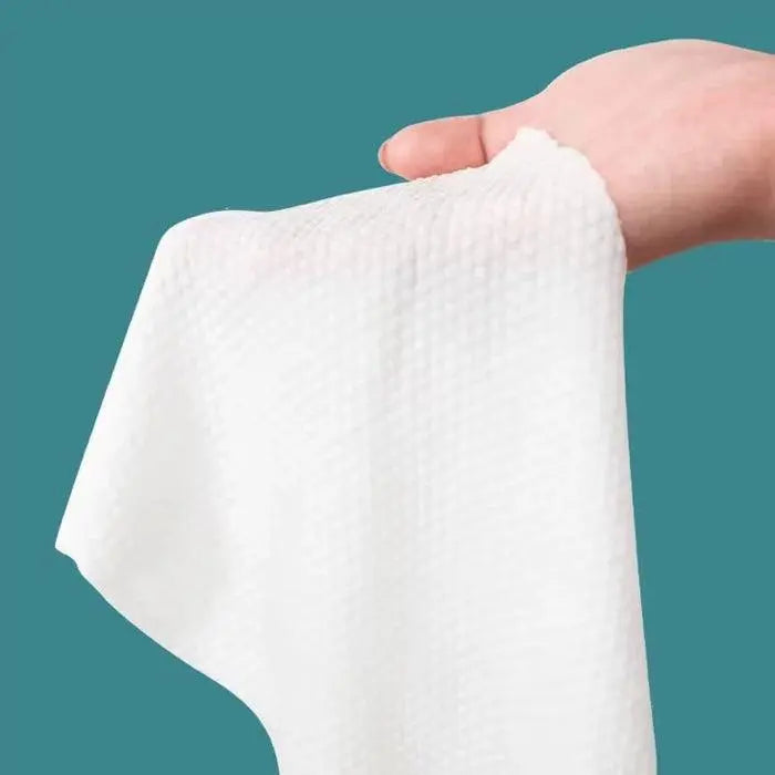 Bayeco Disposable Facial Towel Wipes - 80pc (Bag) - XDaySale