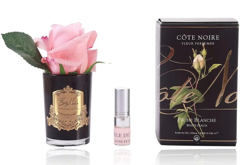 Cote Noire Perfumed Natural Touch Rose Bud - Black - White Peach - GMRB45 Cote Noire