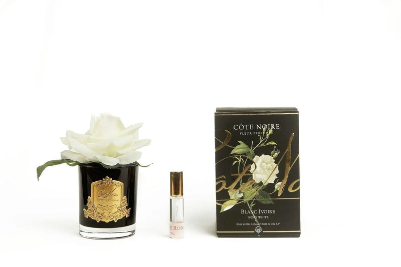 Cote Noire Perfumed Natural Touch Single Rose - Black - Ivory White - Gmrb01 - XDaySale