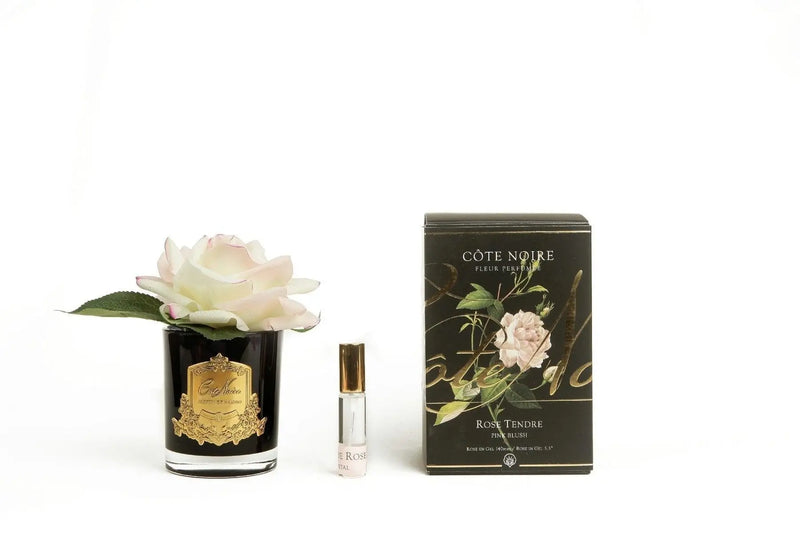 Cote Noire Perfumed Natural Touch Single Rose - Black - Pink Blush - Gmrb02 - XDaySale