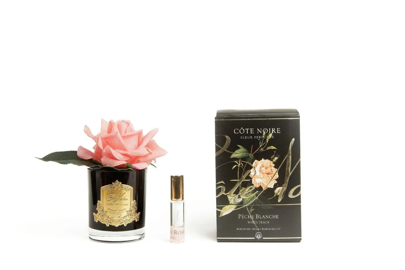 Cote Noire Perfumed Natural Touch Single Rose - Black - White Peach - GMRB05 Cote Noire