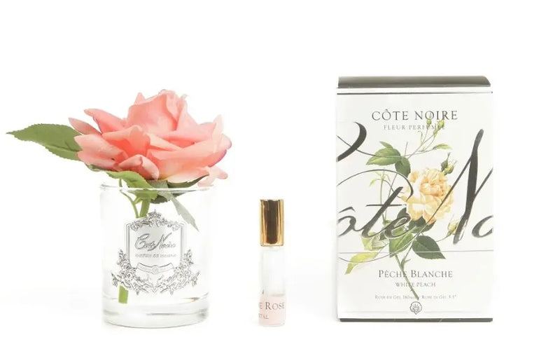 Cote Noire Perfumed Natural Touch Single Rose - Clear - White Peach - GMR05 Cote Noire