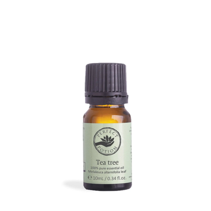 Perfect Potion Tea Tree Pure Essential Oil 10mL - XDaySale